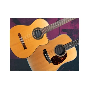 Ernie Ball Acoustic Soundhole Cover