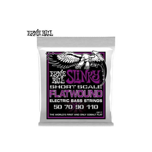 Ernie Ball Flatwound 2817