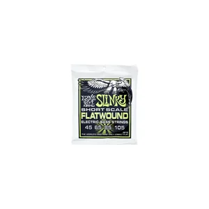 Ernie Ball Flatwound 2818