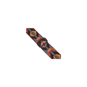 Ernie Ball Strap Albuquerque Sunset