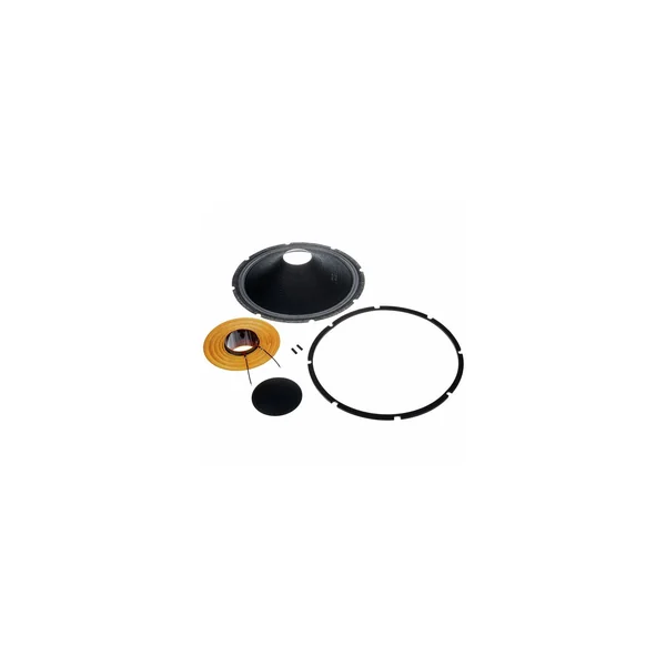 EV DVX 3150 Recone