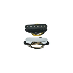 Fender '50/'51 Blackguard Tele Set