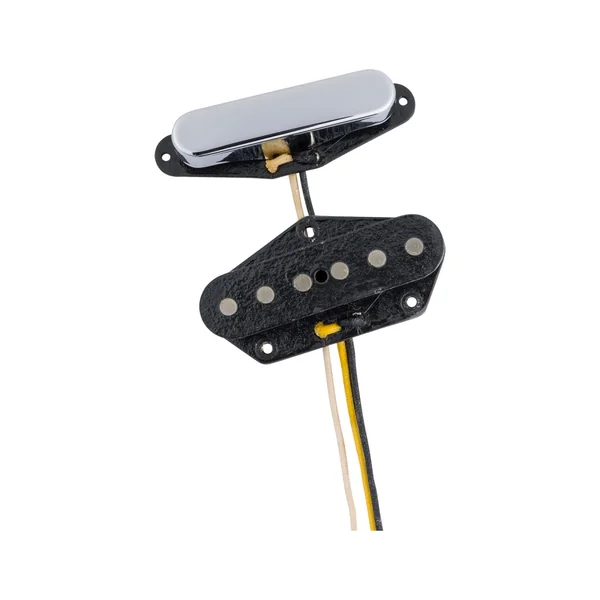 Fender '50/'51 Blackguard Tele Set