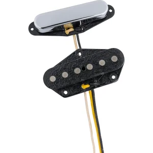 Fender '50/'51 Blackguard Tele Set