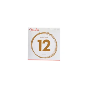 Fender 60L