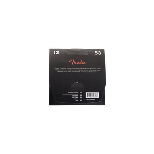 Fender 60L