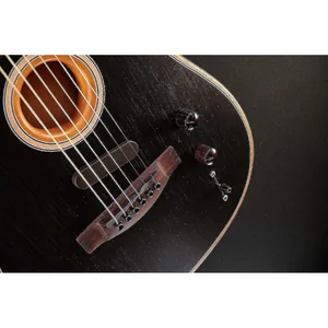 Fender Acoustasonic Player Tele BB