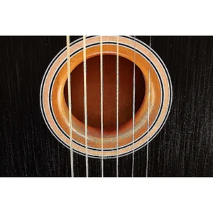 Fender Acoustasonic Player Tele BB
