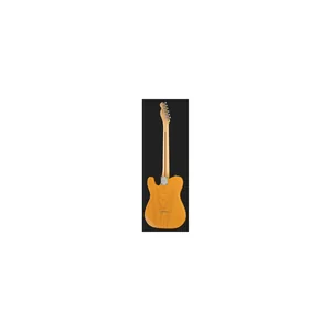 Fender Am Perf Tele Hum MN BTB