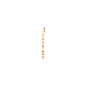 Fender Am Perf. Tele Neck MN