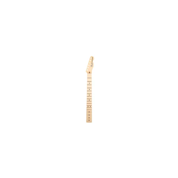 Fender Am Perf. Tele Neck MN