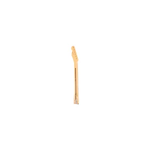 Fender Am Perf. Tele Neck RW