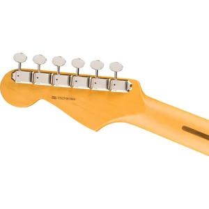 Fender Am Pro Clsc Strat HSS MN FBLK
