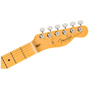 Fender Am Pro Clsc Tele MN FLPB