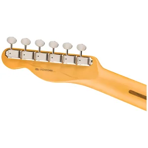 Fender Am Pro Clsc Tele MN FLPB