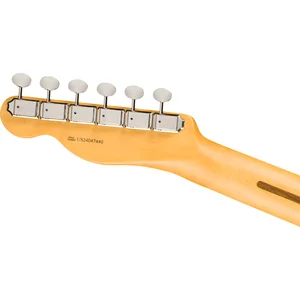 Fender Am Pro Clsc Tele MN FSGM