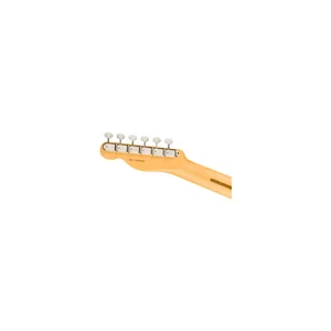 Fender Am Pro Clsc Tele RW FDKR