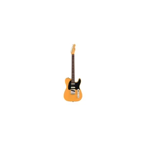 Fender Am Pro Clsc Tele SSS RW BTB