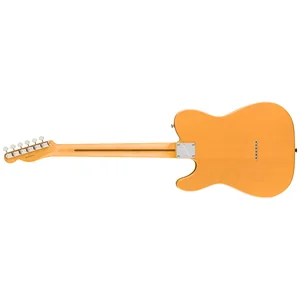 Fender Am Pro Clsc Tele SSS RW BTB