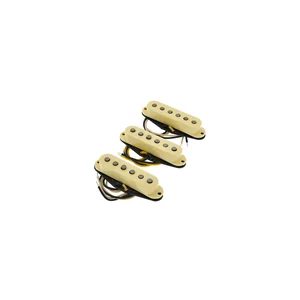 Fender Ancho Poblano Strat Set