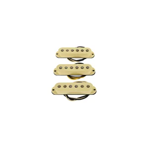 Fender Ancho Poblano Strat Set