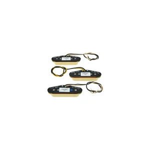 Fender Ancho Poblano Strat Set