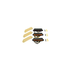 Fender Ancho Poblano Strat Set