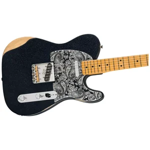 Fender Brad Paisley Road Worn Tele BK