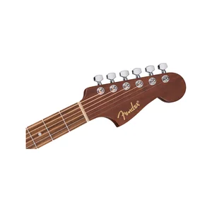 Fender CA STD Redondo IPG BLK