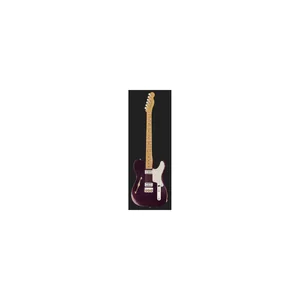 Fender Caballo Tono Ligero AMS Relic