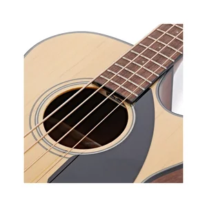 Fender CB-60SCE A-Bass Natural IL