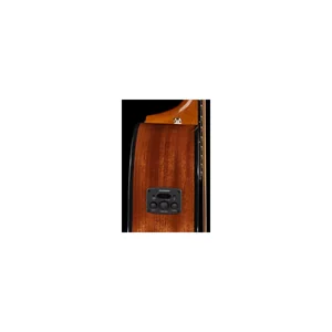 Fender CB-60SCE A-Bass Natural w/Bag
