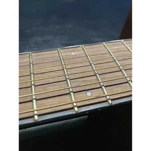 Fender CC-60SCE Nat WN