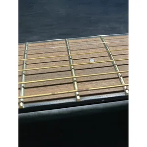 Fender CC-60SCE Nat WN