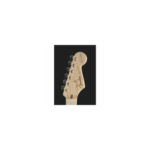 Fender Clapton Strat Signature TR