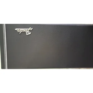 Fender CLSC SRS Mustang/Duo Case