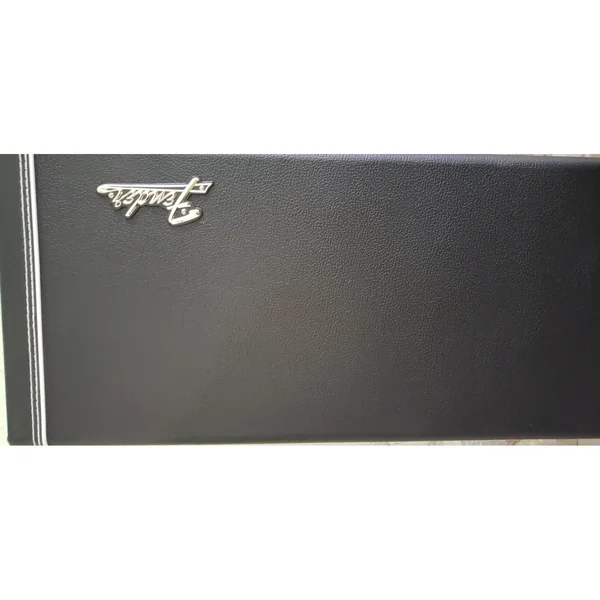 Fender CLSC SRS Mustang/Duo Case
