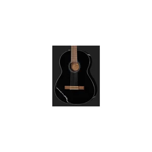 Fender CN-60S Black IL