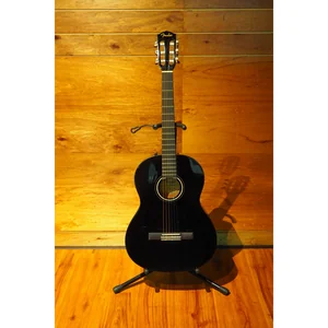 Fender CN-60S Black IL