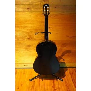 Fender CN-60S Black IL