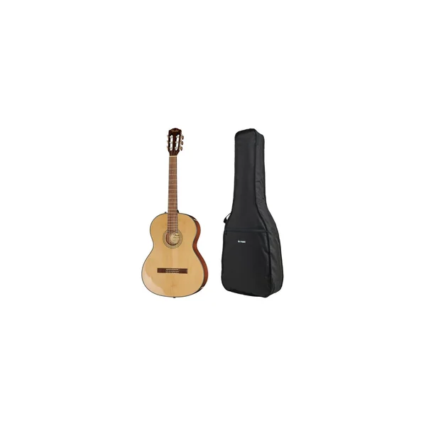 Fender CN-60S Natural WN w/Bag