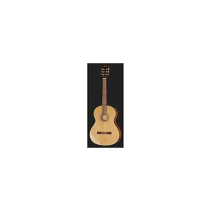 Fender CN-60S Natural WN w/Bag