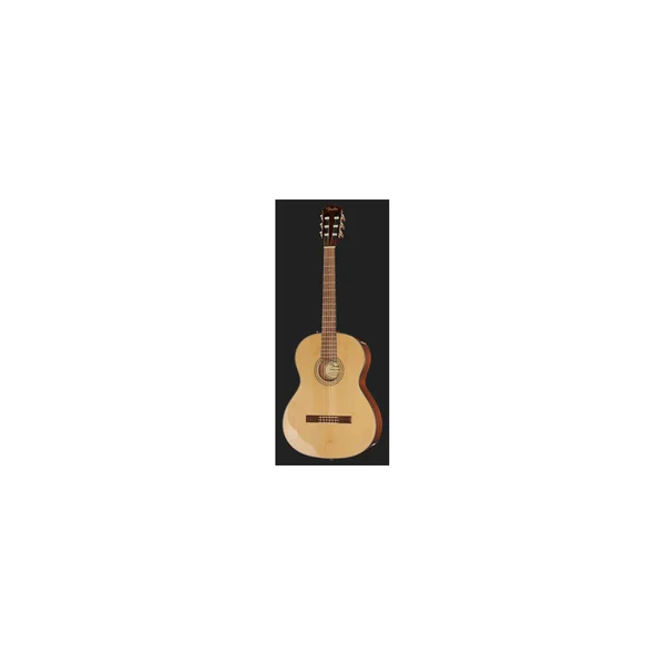 Fender CN-60S Natural WN w/Bag