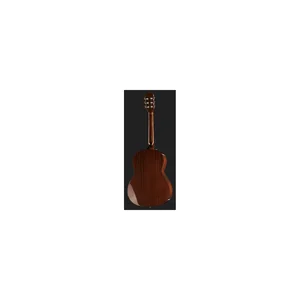 Fender CN-60S Natural WN w/Bag
