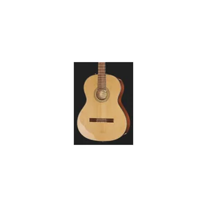 Fender CN-60S Natural WN w/Bag