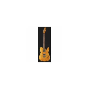 Fender Custom Telecaster FMT HH AM IL
