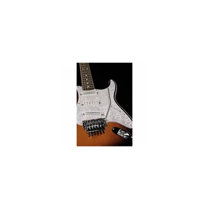 Fender Dave Murray Strat 2TSB