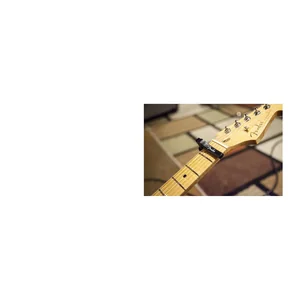 Fender Dragon Capo
