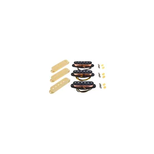 Fender Dual Mag II Strat Set