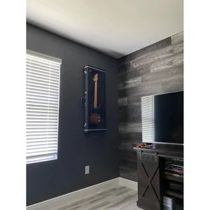 Fender Guitar Display Case BK